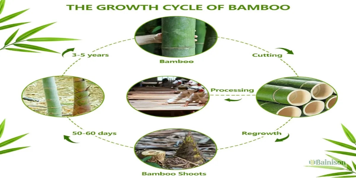 BainisonBamboo Cutting Board for Kitchen & Picnic – Waterproof, Grooved Surface for Non-Slip, Ideal for Fruits & Vegetables